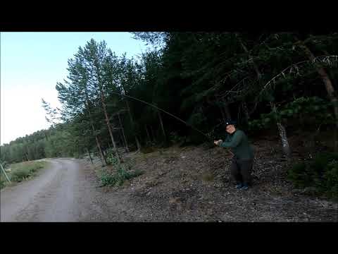 fishing salmon lax boden