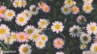 İkiye On Kala - Ben Bu Kafayla Napıcam (Lyrics)