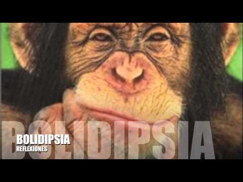 BOLIDIPSIA - REFLEXIONES