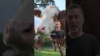 My 3 MUST-BUYS When I Shop At Whole Foods! 🍱 🙌