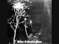 Darkthrone - Summer of the Diabolical Holocaust (2)
