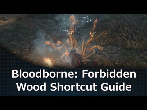 Bloodborne: Forbidden Wood Shortcut Guide