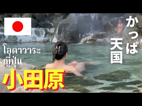 [Kappa Heaven] Fui a una fuente termal en Odawara / Metro de Tokio ➡ Línea Odakyu