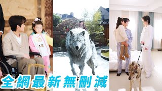 從鄉下被接回那天她騎著狼進門，假千金帶著傭人冷嘲她是野孩子，殊不知她能聽懂萬獸心聲，替全家化解麻煩一路開掛，反手把假千金擠下神壇，成了3位大佬哥哥搶著寵的福寶#甜宠#萌娃