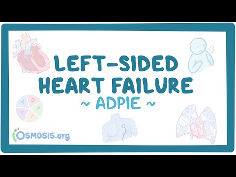 Chronic obstructive pulmonary disease Nursing Process