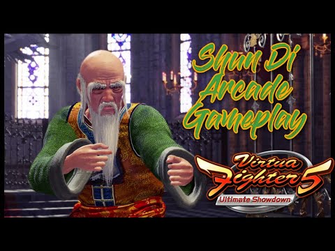 Virtua Fighter 5 Ultimate Showdown: Shun Di Arcade Gameplay