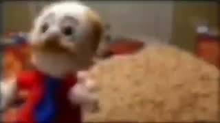 Cover art for jeffy have you seen my wallet