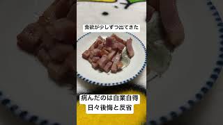 今日の固形物