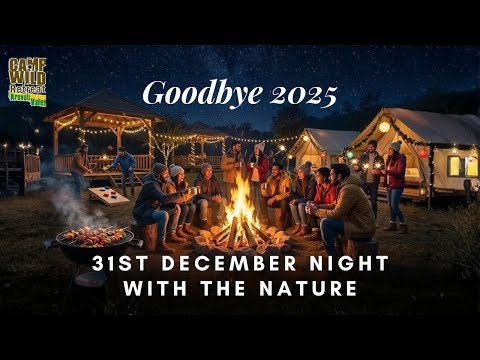 New Year Party 2025 Near Delhi | Bonfire, DJ Night & Camping at Camp Wild Retreat