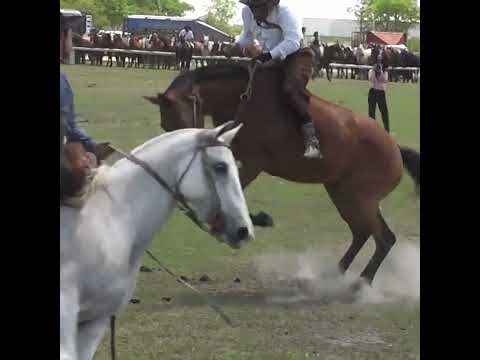 Monta en clina FAMOSA MINI FALDA en Nelson Santa Fe