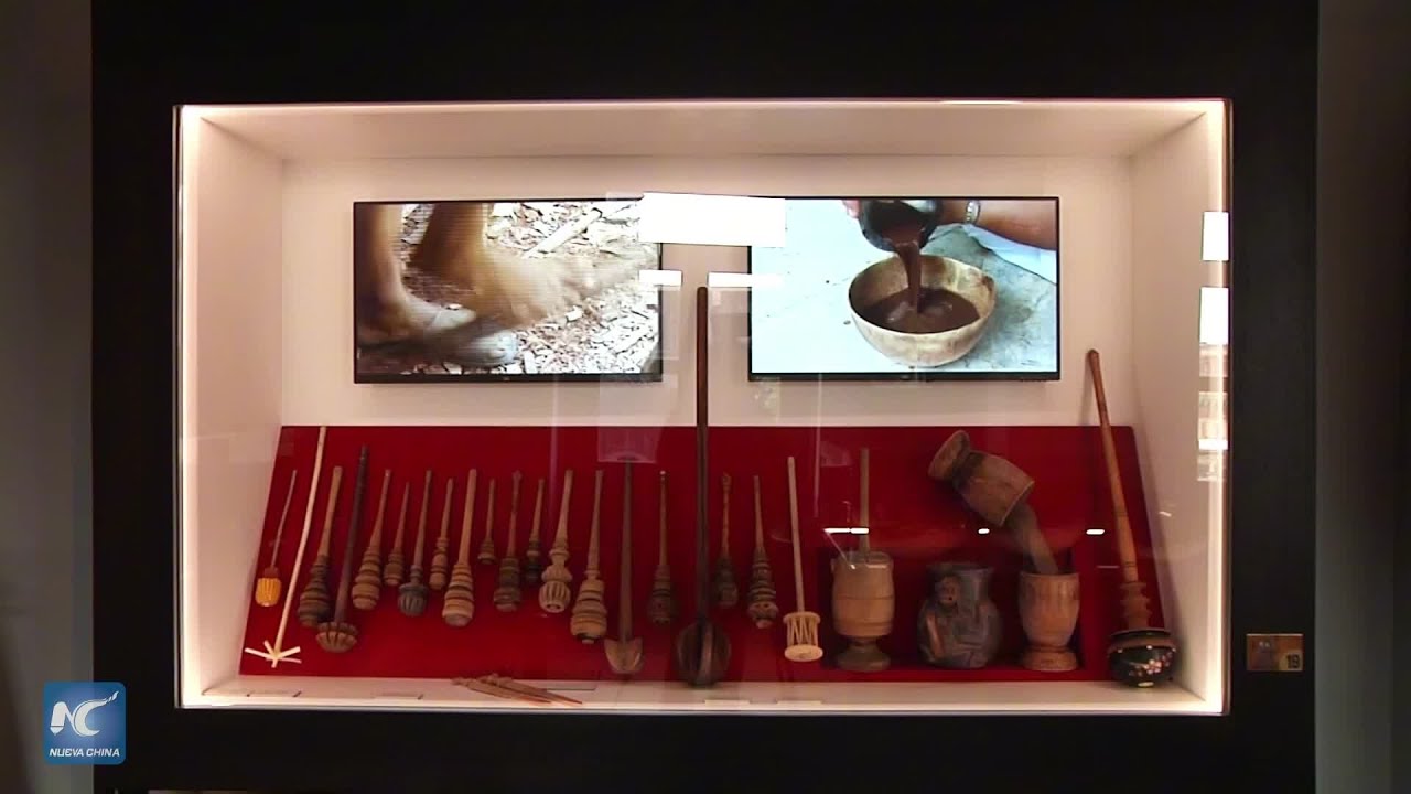 Museo interactivo en Centro Histórico de capital de México revela herencia milenaria del cacao
