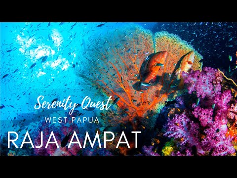 RAJA AMPAT ︱THE  HEART OF THE CORAL TRIANGLE︱WEST PAPUA - INDONESIA︱WORLD BEST SCUBA DIVING︱4K HDR