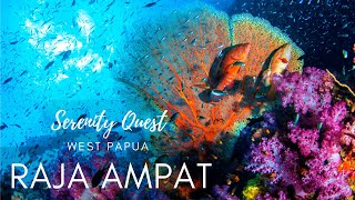 Download lagu RAJA AMPAT ︱THE  HEART OF THE CORAL TRIANGLE︱WEST PAPUA - INDONESIA︱WORLD BEST SCUBA DIVING︱4K VIDEO mp3