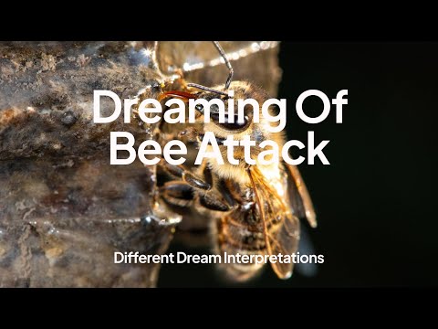 Dreaming of Bee Attack – Dream Interpretations