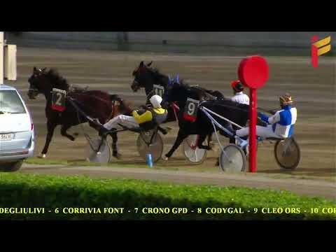 II corsa del 3 dicembre 2022 - 4 Anni - Metri 1600 - Gentlemen