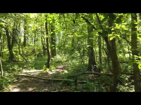 Is writing code the last things a dev should do?