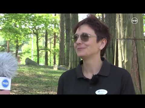 Nyfiken på - Djuren på Vallby Friluftsmuseum (Arkiv)