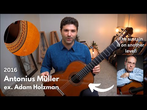 Ridiculous Sustain and Power | Antonius Mueller 2016 ex Adam Holzman | GuitarCollection.com