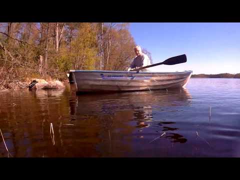 Ett vårdyk i Värsjön 2017