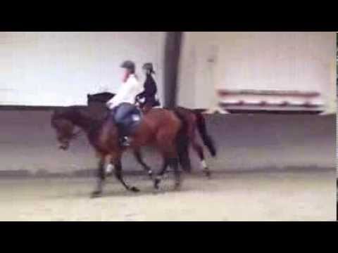 4 j. Braunerwall.  Kaiserdom x White Star