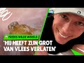 LARVEN DOCU FREEK VONK ? | Freeks wilde wereld | NPO Zapp