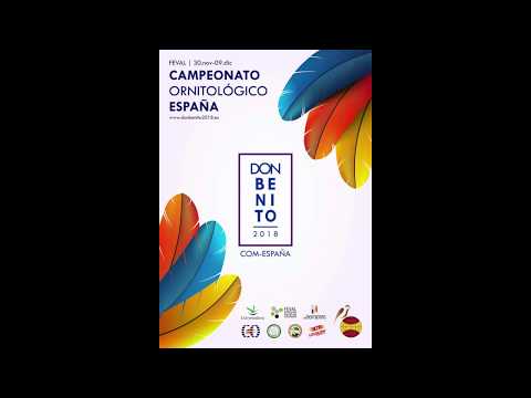 Trailer Nacional COM-E Don Benito - Monográfico Club del Llarguet