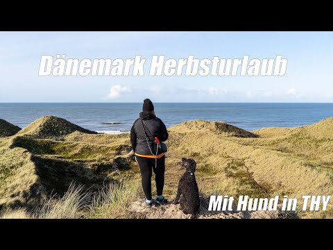 Herbsturlaub in Dänemark 2021 || Hund, Kamin, Halloween und vieles mehr