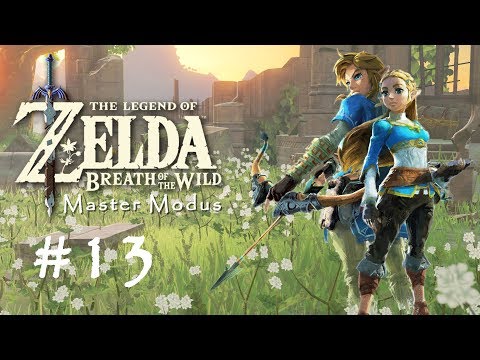 The Legend of Zelda Breath of the Wild - Master Modus - #13 - Erstkontakt mit den Yiga