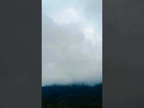 Ingattu Nokku - chattambi promo song |sreenath Bhasi|sekhar menon/abhilask s kumar💓 munnar treehouse