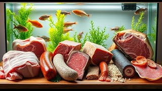 Testing Raw Meat Diets for My Aquarium Fish