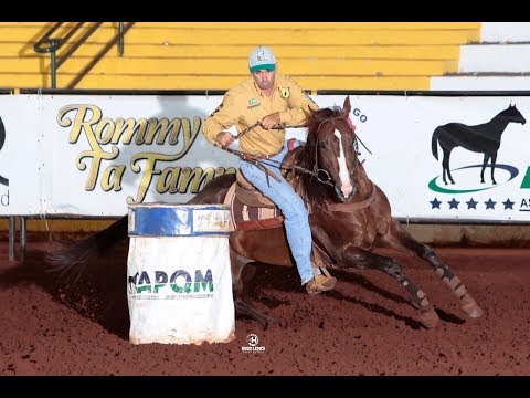 ST FAMELEO x Salomão Mariano - 16,901 - 4º Lugar Final Ouro - Potro Ouro