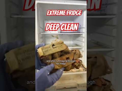 Cleaning a Cockroach- Infested Fridge!