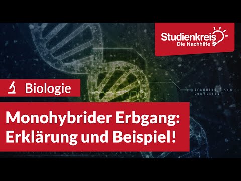 Monohybrider Erbgang: Erklärung und Beispiel! | Biologie verstehen mit dem Studienkreis