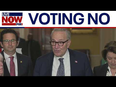 Video | Democratic Senate leaders speak on shutdown, 'healthcare cliff'