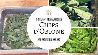 Des chips à base d'une plante sauvage salée