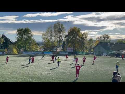 Austria XIII - Donaustadt 8:4 Highlights