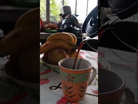 Bom dia na Campanha Gaúcha #bomdia #gaucho #cafe #riograndedosul #pelotas #capaodoleao #morroredondo