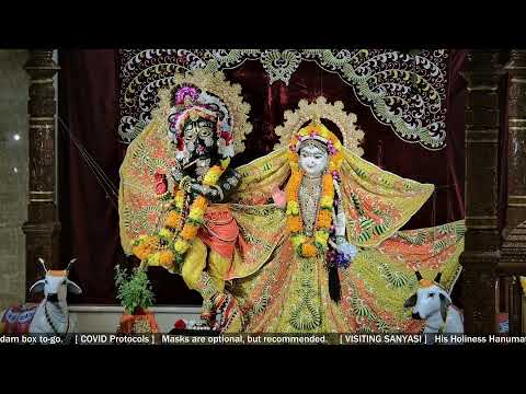 SB Summary 5.25, Verse 5.25.8 by HH Hanumat Presaka Swami - 06/30/2022