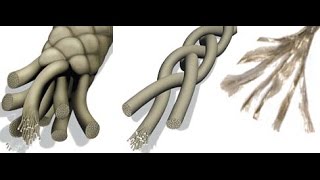 Количество линий в плетеной лески