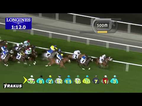 06.02.2014 Meydan (Dubai-UAE) 7.Race Cepsa Mile - Handicap 1.600 m