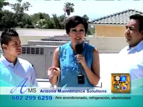 EN FAMILIA 03 (Martin Aires)