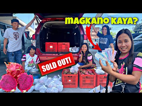 EP-425 | Nagbenta kami ng Dragon Fruit sa Bayan , magkano kaya ang pinagbentahan?