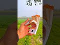 Paisa Bolta Hai Kalanazaarmoviesong Nitinmukeshsong Jhan Jhan Ki Jhankar