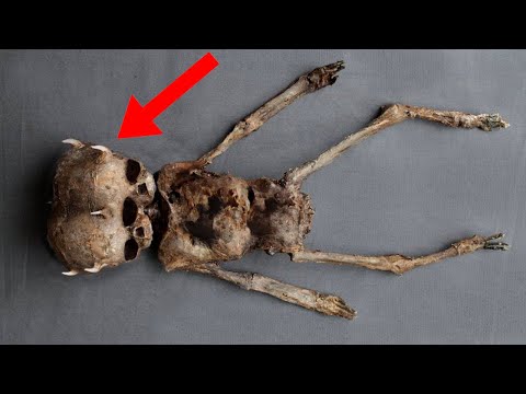 10 BIZARRE Creatures People Thought Were Fake But Aren't!