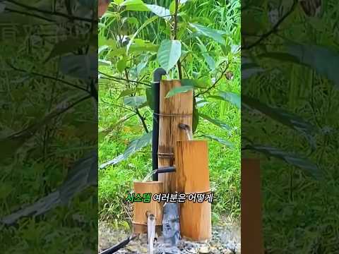 수도 요금이 비싸자 직접 물레방아를 만든 여성… 강물을 집으로 끌어오는 놀라운 기술! 😱💧 #Shorts