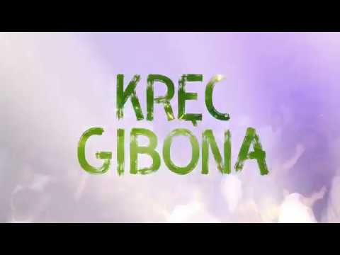 Szusty  - Loża (Lyrics Video)