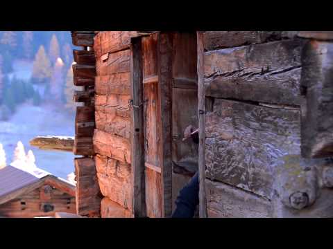 Jahrringforschung an der WSL