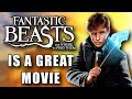 Why Fantastic Beasts and Where to Find Them is Actually a Great Movie