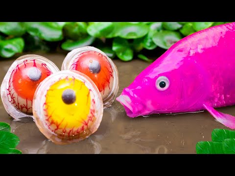 Stop Motion Koi Fish Swallow Eels And Fancy Candies, Catfish | Colorful Koi Fish | Primitive Cooking