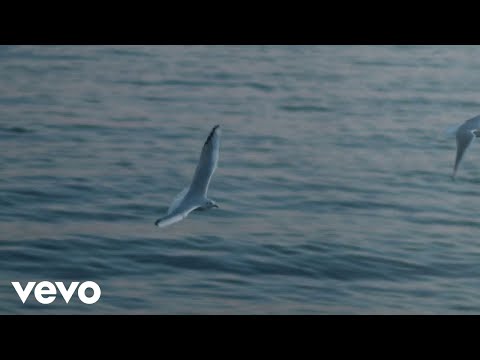 Meri Cetinić - Jubav Si Moja Zauvik